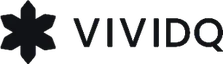 VividQ